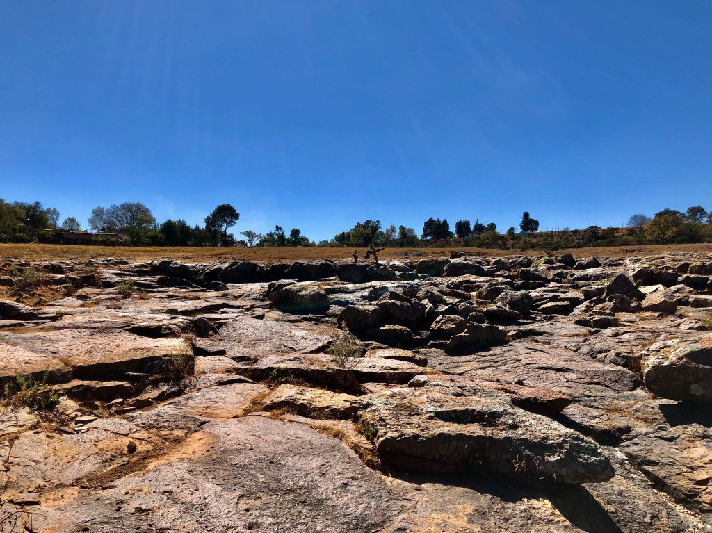 La imagen tiene un atributo ALT vacío; su nombre de archivo es img_2354.jpeg